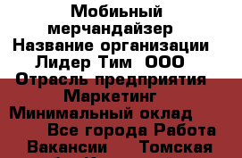 Мобиьный мерчандайзер › Название организации ­ Лидер Тим, ООО › Отрасль предприятия ­ Маркетинг › Минимальный оклад ­ 23 000 - Все города Работа » Вакансии   . Томская обл.,Кедровый г.